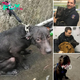 Un policía rescata a un perro abandonado que estaba bajo la lluvia