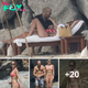 Lamz.Sun-Kissed Showdown: Rosie Huntington-Whiteley and Jason Statham’s Beach Body Battle Unveils Toned Physiques During Thailand Escape