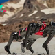 Packs of dog-shaped robots could one day roam the moon — if they can find their footing on Earth first
