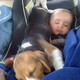 qq “Beagle – The Friendly and Warm Companion of Newborns”
