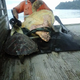 FS Noble gesture: Man from Greymouth buys turtles from local food market and releases them back into the sea ‎