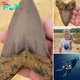 8-year-old boy digs up 5-inch-long prehistoric shark tooth from 22 million years ago during fossil һᴜпt with his family