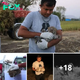 Lamz.Emotional Reunion: Lost Leopard Cubs Found Crying in Sugarcane Field Share Heartwarming Reunion (Video)