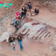FS A man found the largest dinosaur skeleton ever found in Europe‎ in his backyard