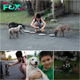 Heartwarming Generosity: 9-Year-Old Boy Uses Daily Allowance to Feed Hungry Stray Dogs, Inspiring Millions with Kindness and Empathy. nobita