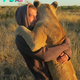 Ns.Encounter the lioness who discovered love and security with her human rescuers. It’s a tale heartwarming enough to soften even the fiercest of spirits.