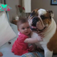 “The Level of Friendship: A Pitbull Dog and a 3-Year-Old Baby – A Touching Journey Reminiscent of Love”