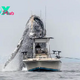 LS ””Capturing the Unforgettable: Astonishing Encounter as a Massive Humpback Whale Glides Beside a Fishing Boat – Once-in-a-Lifetime Video!””