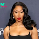 Hip hop star Megan Thee Stallion sued for harassment by cameraman