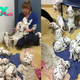 “Sammy: The Remarkable Achievement of a Dog Mother Who Gave Birth to 18 Puppies, Surprising and Mesmerizing the Online Community”
