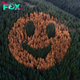 FS Admire the yellowing trees that create a smiley face on the Oregon slopes
