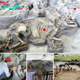 Wonderful! Hundreds of Well Preserved Prehistoric Animals have been Found in an Ancient Volcanic Ashbed in Nebraska