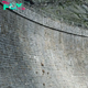 MS  “Brave Goats Scale Near-Vertical Barrier at Italian Lake to Access Mineral-Rich Stones” MS