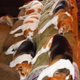 QT “A Homey Haven: The Beagle Sofa Sanctuary”