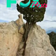 FS Incredible Life: A majestic tree thrives on a barren rock despite all odds ‎