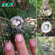 Hummingbird Nests are as Small as a Thimble, Be Careful Not to Prune Them