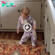 Mom сарtᴜгed a video of her baby dancing to different musical styles. Watch the adorable video below!.sena