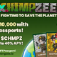 Chimpzee Wildlife NFT Passports: An Introduction to the Most Coveted NFT Collection of 2024 