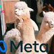 Meta Steps Into The Artificial Intelligence Paint With Llama 3: Is It A Top 3 Bot?