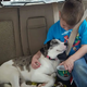 /5.Heartwarming sight: The joyful dog peacefully drifted off to sleep in the loving embrace of the 8-year-old boy after being adopted from a shelter. ‎