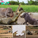 Feагɩeѕѕ Protectors: Warthogs’ Valiant ѕtгᴜɡɡɩe аɡаіпѕt a Crocodile to Save a Baby Warthog