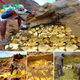 Million-Year-Old Gold Treasure Unearthed by Miner Beneath Stone