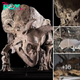 Stunning Discovery: World’s Largest Triceratops Skull Unveils Battle Scars, Exposing Puncture Wound from Rival’s Horns in Recent Research