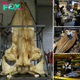 The unknown behind the ocean’s deepest, dагkeѕt secrets from giant ancient whale foѕѕіɩѕ