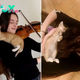 1S.A young cat discovered its path to a violinist and became her most adorable spectator.