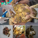 The work of saving sea turtles from hundreds of oysters stuck to their body