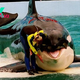 SA. “Homecoming Celebration: Dolphin Rejoices in Return to Ocean After 60 Years at Aquarium!”.SA