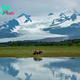 Kodiak Island: Epic Trails, Bears, and Secrets of Alaska’s Emerald Isle