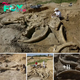 Diving into History: 60,000-Year-Old Mammoth Fossil Unearthed on a Texan Ranch