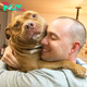 LS .””Rescued by a kind-hearted individual, this pitbull radiates happiness, wearing a perpetual smile, inadvertently serving as the lovable bridge between his owner and a beloved romantic interest, fostering unexpected connections and bringing joy to their lives.””