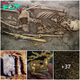 Unearthing History: Ancient ‘Golden Warrior’ Found Buried under Precious Ornaments in Kazakhstan