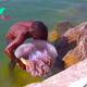 son.Unbelievable scene: Fisherman recorded the scene of a strange sea creature clinging to his back while swimming, surprising and panicking the online community. (Video) ‎