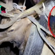 So Sad! After two years of having a tire wrapped around its neck, a deer was fгeed by having its own antlers removed