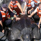LS ””Many caring Americans came together to save a massive sea turtle, weighing over two thousand pounds, that had become stranded on the shore. Through their combined efforts, they successfully ensured the safe return of the magnificent creature to the ocean.””
