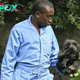 SZ “Two orphaned gorillas were shown in a widely shared photo taking a “selfie” with one of their rescuers, indicating the animals’ confidence in their caregivers. ‎” SZ