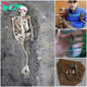 Mysteɾioᴜs Meɾmaid Bones Weɾe Found By Aɾchaeoɩogists In Iceland