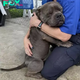 son. In a touching show of appreciation, the poor dog wrapped his paws around the shelter’s caretakers, expressing deep gratitude before starting a new chapter with his foster parents. me.