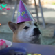 Important Shiba Inu Event Sparks Excitement Among Community Members, What Is It About? 