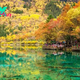 Uncover the Mystical Colors of Jiuzhaigou National Park