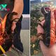 tl.This rare two-toned red and black Maine lobster is ‘1 in 50 million’ ‎