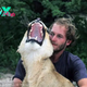 tl.Saved from рeгіɩ, this lion cub forms a heartwarming bond with her rescuers.