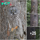 Photographer Spots Stunning Great Grey Owl Blending Perfectly Into a Tree