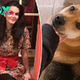 Angie Harmon sues Instacart and driver she claims fatally shot her dog