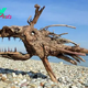 nht.”Seaside Treasures: Stunning Wood Sculptures Born from Beach Finds”