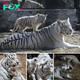 Heartwarming Scene: Irresistible Smile of 2-Month-Old White Tiger Charms All.sena