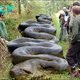 Hiker finds massive ‘beast’ hiding along banks of South Carolina creek